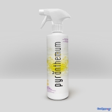 PYRANTHEMUM.jpg